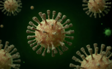 Coronavirus update